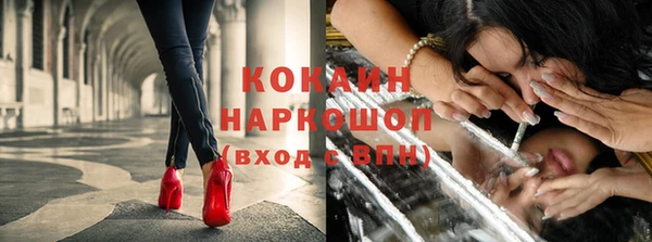 прущие крисы Карпинск