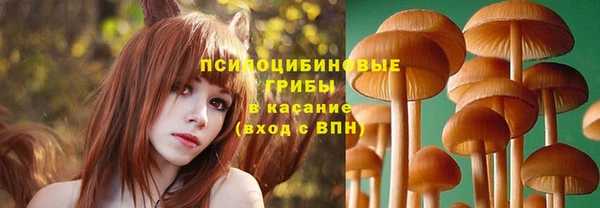 мдпв Киреевск