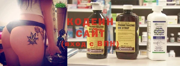 прущий лед Бикин