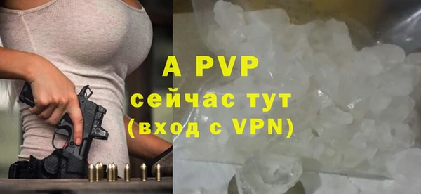 дживик Касимов