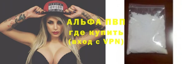 дживик Касимов