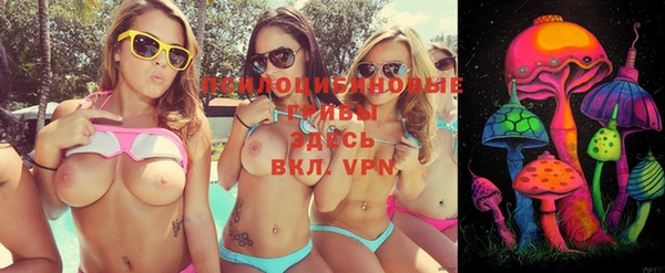 мдпв Киреевск