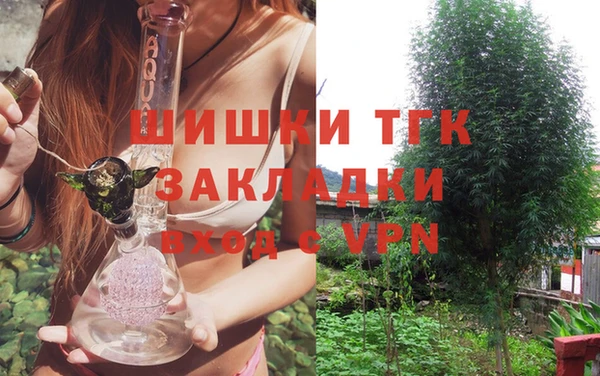 дживик Касимов