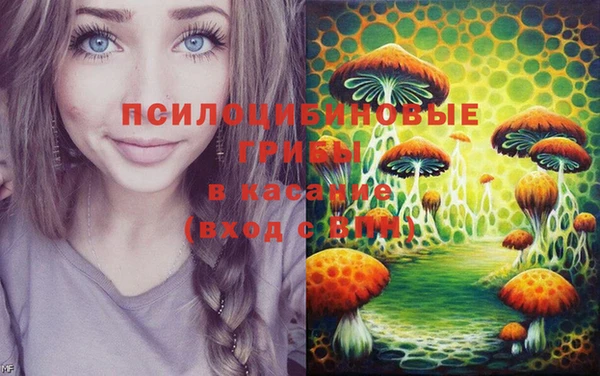 дмт Каменногорск